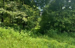 Lot 15 Long Hollow Acres, Burkesville, KY 42717