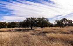 Legacy Oaks Dr lot: 15, Harper, TX 78631