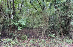 0 Southern Shores, Jackson, GA 30233