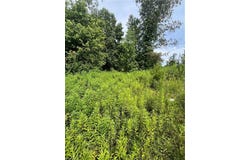 Tbd Boomer Road, Boomer, NC 28606