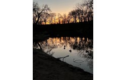 Tbd CR 3115, Clifton, TX 76634