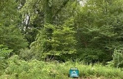 48681 Valley Ct Court, Paw Paw, MI 49079