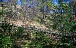 90 Hillcrest Dr, Lewiston, CA 96052