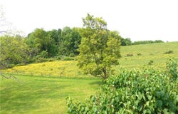 1895 Emory Hill Road, Carroll, NY 14738