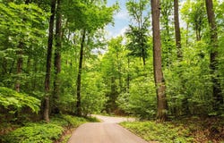 7277 Lautner Road, Williamsburg, MI 49690