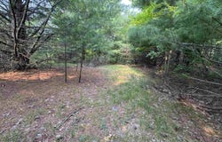 Lot #1 E Bellinger Road, Cedar, MI 49621
