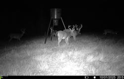 Raymond Road, Jackson, MS 39212