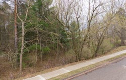 Bond Street, Harrison, MI 48625