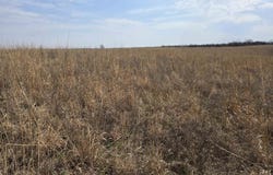 330th Avenue, Chariton, IA 50049