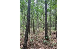 0 Crouch Road, Benton, LA 71006