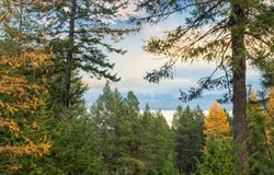 155 Wulff Lane, Lakeside, MT 59922