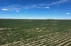 000 Rd R, Saint Francis, KS 67756