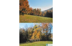 Pantherlick Road, PA 18846
