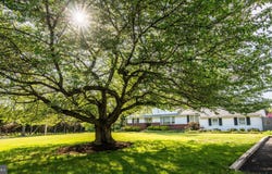 418 DOUBLEWOODS Road, LANGHORNE, PA 19047