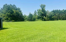 5651 Wenonah Street, Hokes Bluff, AL 35903
