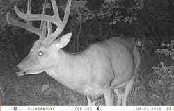 0000 E 1100 Rd, Baldwin City, KS 66006