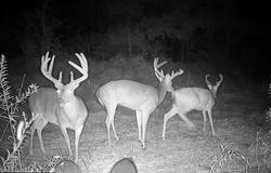 000002 Hwy 22, Flora, MS 39071