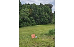 9999 Settlers Trail, Mars Hill, NC 28754