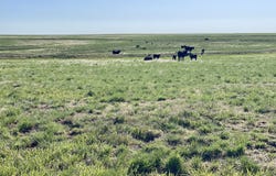 County Road 125, Deer Trail, CO 80105