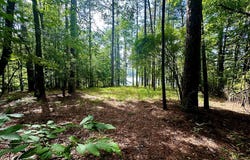 1054 Gardenia, Summit, MS 39666