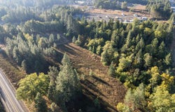 Laurel Road, Cave Junction, OR 97523