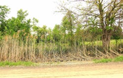 65002 Gratiot, New Haven, MI 48050