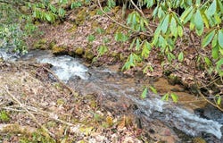 Tilley Creek Rd, Cullowhee, NC 28723
