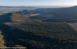 Tbd Mystic Mesa Road, Hotchkiss, CO 81419