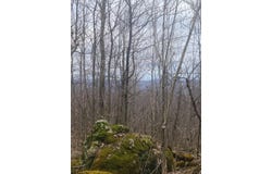 Harper Trail, Valley Bend, WV 26293