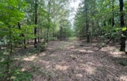 0 Truman Reynolds Road, Quitman, AR 72131