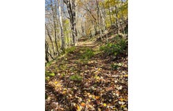 Delaware Avenue lot: 149.20-2-3, Delhi, NY 13753