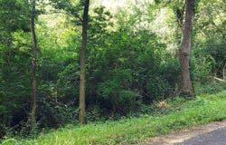0 W BRISTOL HOLLOW Road, Dunlap, IL 61525