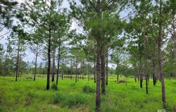 39449 S STATE HIGHWAY 59, Bay Minette, AL 36507