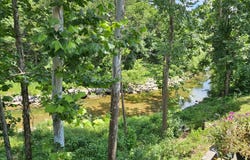 7832 Cozy Cove Road, Branson, MO 65616