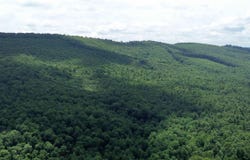 143 Moncove Lake Rd., Gap Mills, WV 24941