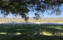 18915 C R 2300, Lubbock, TX 79423
