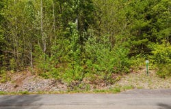 Lot 12 Grant Road, Orono, ME 04473