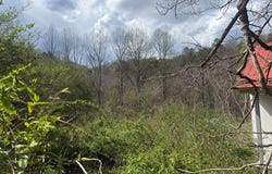 9310 Ky Rt. 979, Grethel, KY 41631