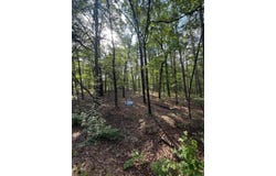 TBD Almansa Lane, Hot Springs Village, AR 71909