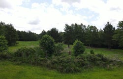 00 Reynolds Road, Barnwell, SC 29812