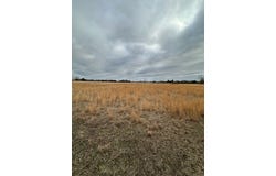 County Road 4322, Avery, TX 75554