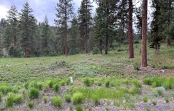 1082 Paper Birch Way, Klamath Falls, OR 97601