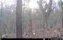 0001 E 1485 Rd, Allen, OK 74825
