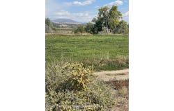 Tbd 3300 Road, Hotchkiss, CO 81419