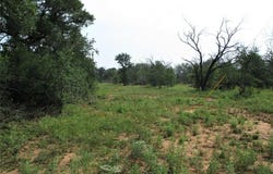Tr 1 Hoffman Road, Loving, TX 76460