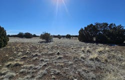 1968 Ridgeway Road, Show Low, AZ 85901