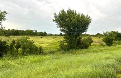 0000 Hwy 39, Elmore City, OK 73433