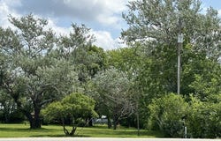 14453 S Bell Road, Homer Glen, IL 60419
