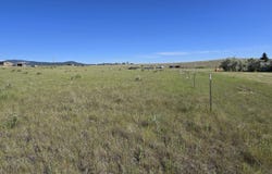 Lone Pine Road, Helena, MT 59602