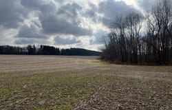 0 Green Street, Springport, MI 49284